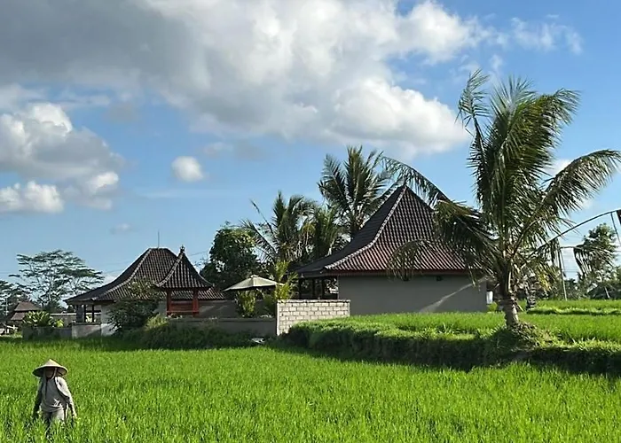 Chaplet House 2 Villa Ubud